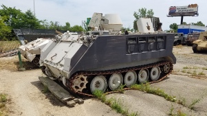 M113 variant